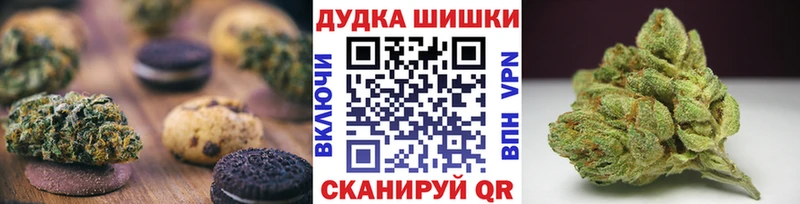 Canna-Cookies конопля  мега ссылки  Пятигорск  купить наркоту 