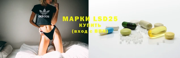 ПСИЛОЦИБИНОВЫЕ ГРИБЫ Михайловск