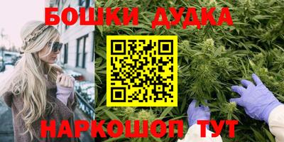 гидра Камышлов