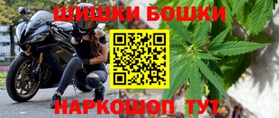 гидра Камышлов