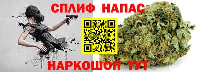 гидра Камышлов