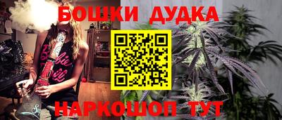 гидра Камышлов