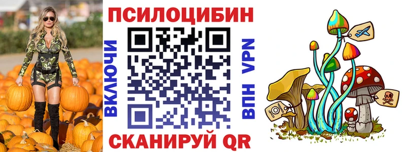 блэк спрут маркетплейс  Пятигорск  Псилоцибиновые грибы прущие грибы 