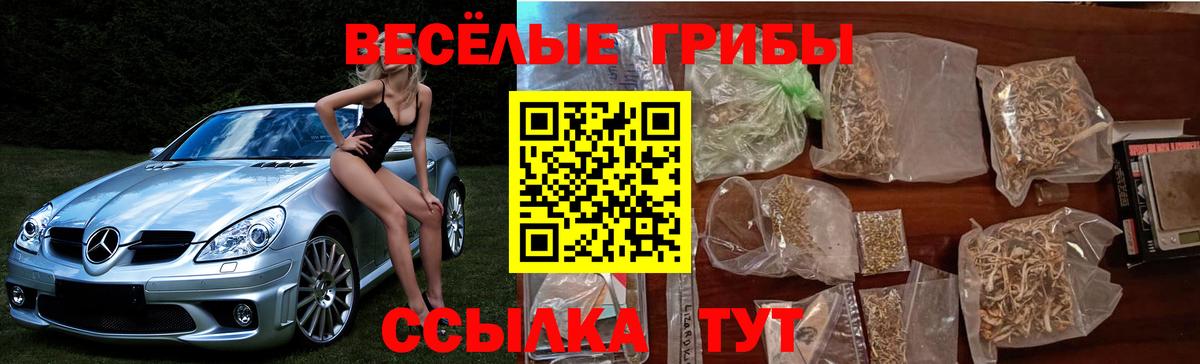Пятигорск  Псилоцибиновые грибы Psilocybine cubensis  Псилоцибиновые грибы прущие грибы  Вход с VPN 